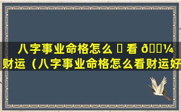 八字事业命格怎么 ☘ 看 🌼 财运（八字事业命格怎么看财运好不好）